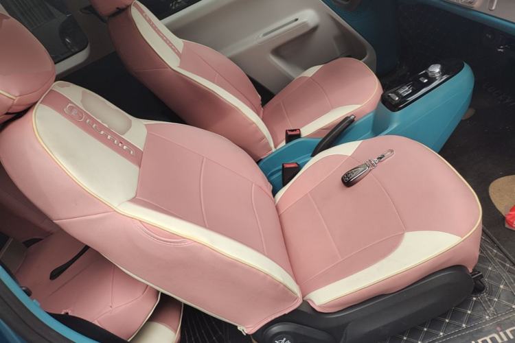 Used CHANGAN NEVO Lumin 2022 210km Sweet Edition Right Front Seat