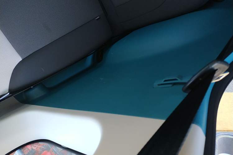 Used CHANGAN NEVO Lumin 2022 210km Sweet Edition Right Rear Door Interior
