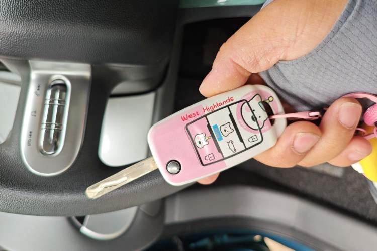 Used CHANGAN NEVO Lumin 2022 155 km – Refreshingly Sweet Edition Vehicle Key