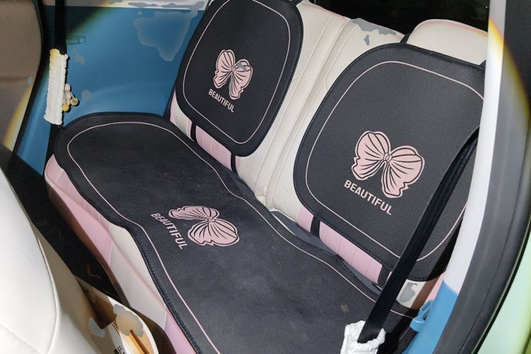 Used CHANGAN NEVO Lumin 2022 210km Sweet Edition Left Rear Seat