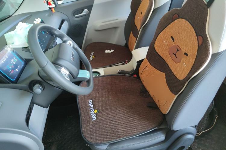 Used CHANGAN NEVO Lumin 2022 210km Sweet Edition Left Front Seat