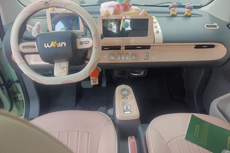 Used CHANGAN NEVO Lumin 2022 210km Sweet Edition Center Console
