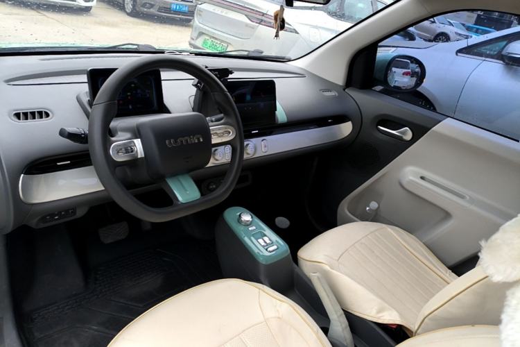 Used CHANGAN NEVO Lumin 2022 210km Sweet Edition Center Console