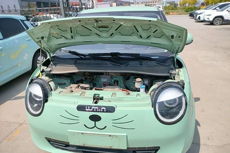 Used CHANGAN NEVO Lumin 2022 210km Sweet Edition Engine Bay