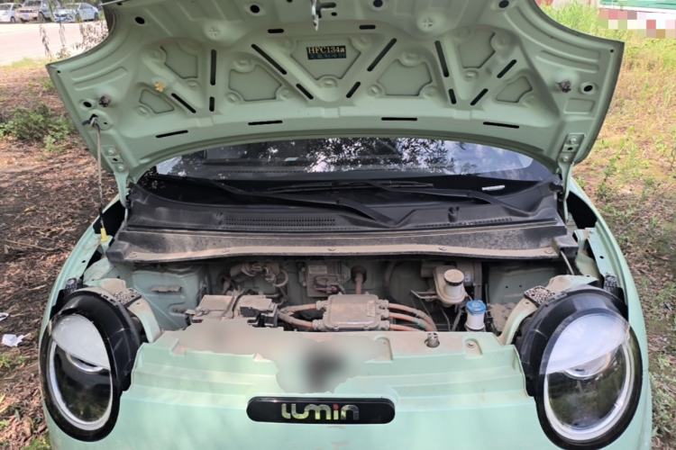 Used CHANGAN NEVO Lumin 2022 210km Sweet Edition Engine Bay