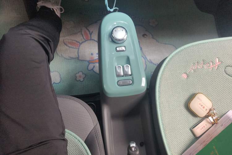Used CHANGAN NEVO Lumin 2022 301km Honey-Sweet Version Gear Lever