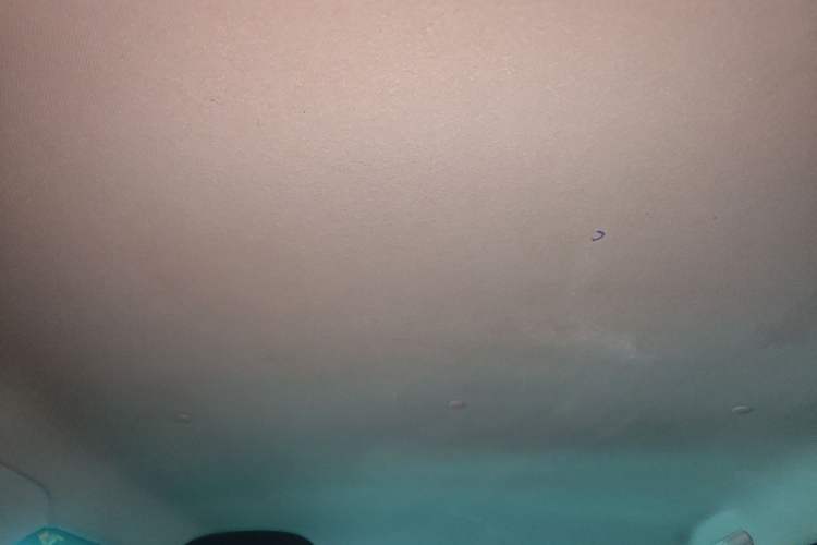 Used CHANGAN NEVO Lumin 2022 301km Honey-Sweet Version Headliner