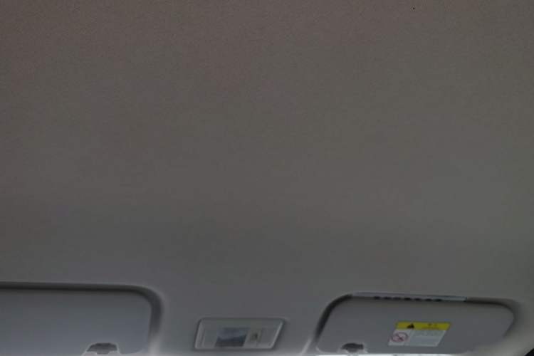 Used CHANGAN NEVO Lumin 2022 210km Sweet Edition Headliner