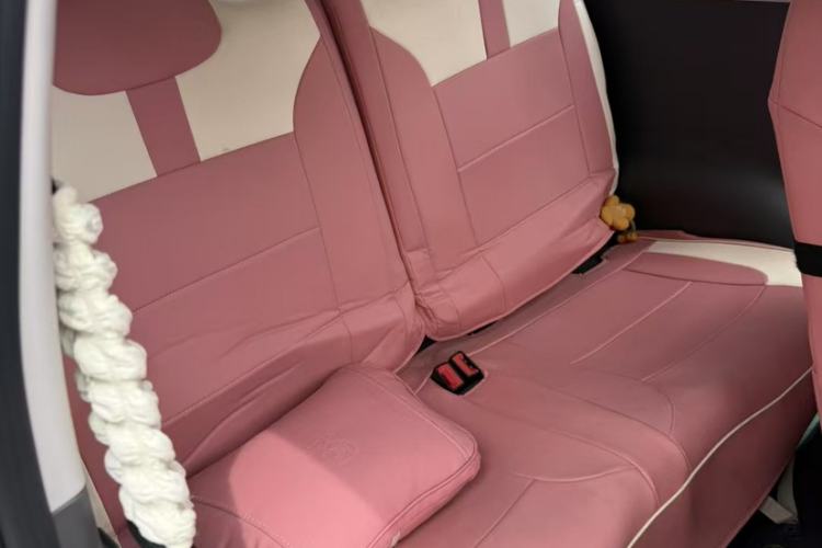 Used CHANGAN NEVO Lumin 2022 210km Sweet Edition Interior 3