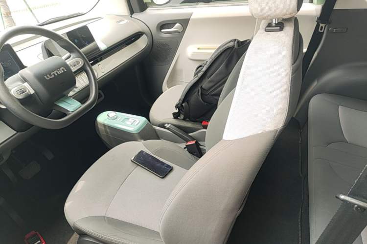 Used CHANGAN NEVO Lumin 2022 210km Sweet Edition Left Front Seat