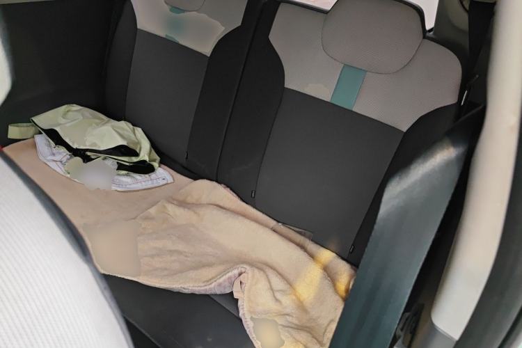Used CHANGAN NEVO Lumin 2022 301km Honey-Sweet Version Left Rear Seat