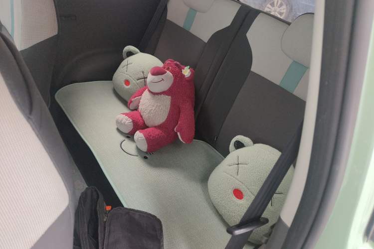 Used CHANGAN NEVO Lumin 2022 301km Honey-Sweet Version Left Rear Seat
