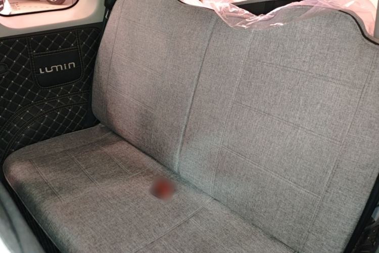 Used CHANGAN NEVO Lumin 2022 210km Sweet Edition Left Rear Seat