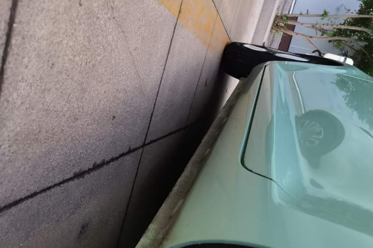 Used CHANGAN NEVO Lumin 2022 210km Sweet Edition Left Side Sill