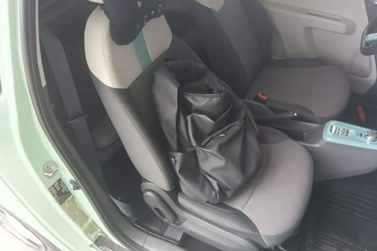 Used CHANGAN NEVO Lumin 2022 210km Sweet Edition Right Front Seat