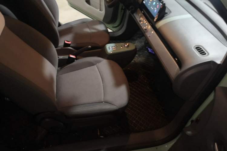 Used CHANGAN NEVO Lumin 2022 210km Sweet Edition Right Front Seat
