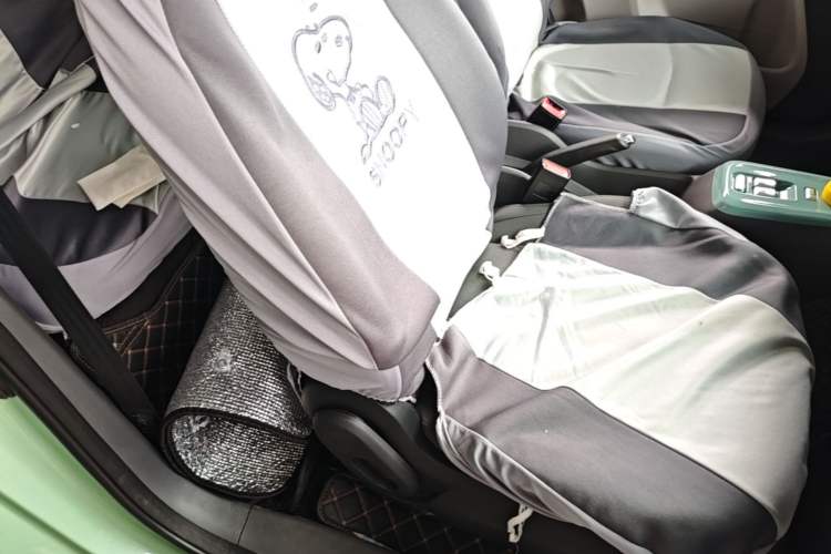 Used CHANGAN NEVO Lumin 2022 210km Sweet Edition Right Front Seat