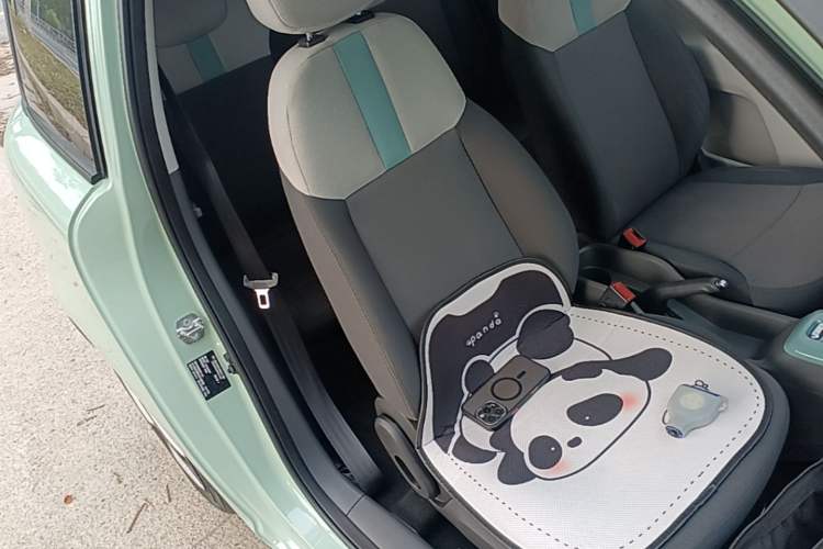 Used CHANGAN NEVO Lumin 2022 210km Sweet Edition Right Front Seat
