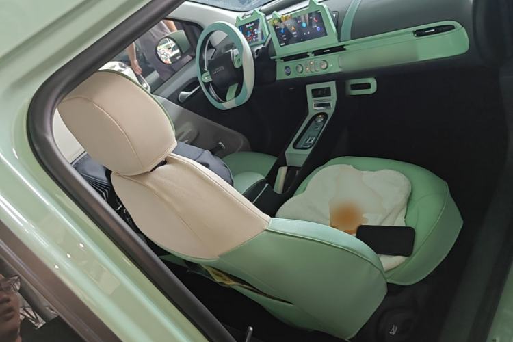 Used CHANGAN NEVO Lumin 2022 210km Sweet Edition Right Front Seat