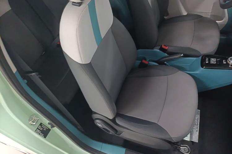 Used CHANGAN NEVO Lumin 2022 210km Sweet Edition Right Front Seat