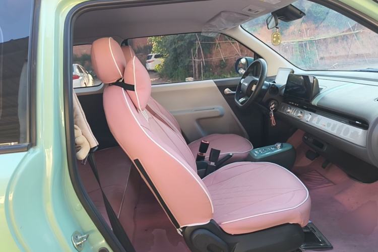 Used CHANGAN NEVO Lumin 2022 210km Sweet Edition Right Front Seat