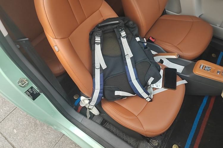 Used CHANGAN NEVO Lumin 2022 210km Sweet Edition Right Front Seat