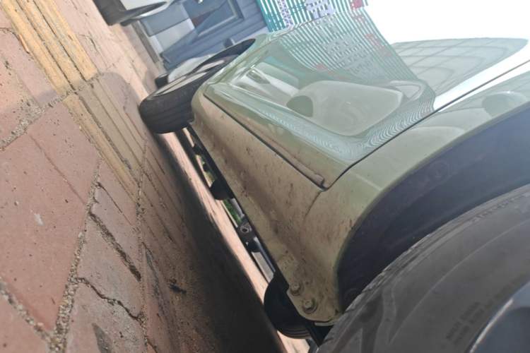 Used CHANGAN NEVO Lumin 2022 155 km – Refreshingly Sweet Edition Right Side Sill