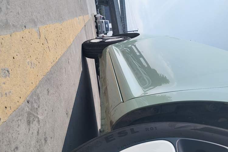 Used CHANGAN NEVO Lumin 2022 155 km – Refreshingly Sweet Edition Right Side Sill