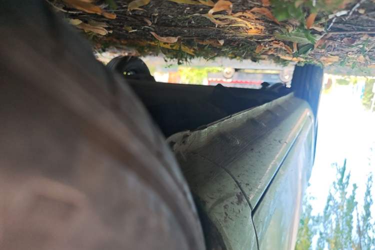 Used CHANGAN NEVO Lumin 2022 155 km – Refreshingly Sweet Edition Right Side Sill