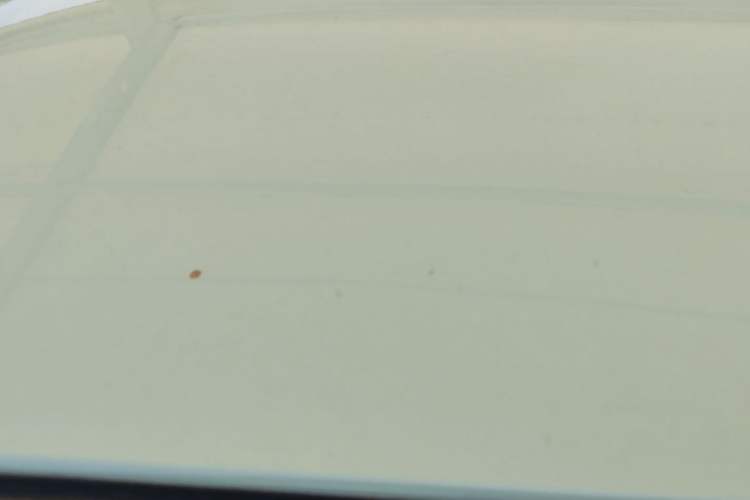 Used CHANGAN NEVO Lumin 2022 210km Sweet Edition Roof