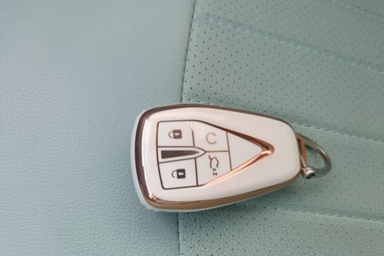 Used CHANGAN NEVO Lumin 2022 155 km – Refreshingly Sweet Edition Vehicle Key