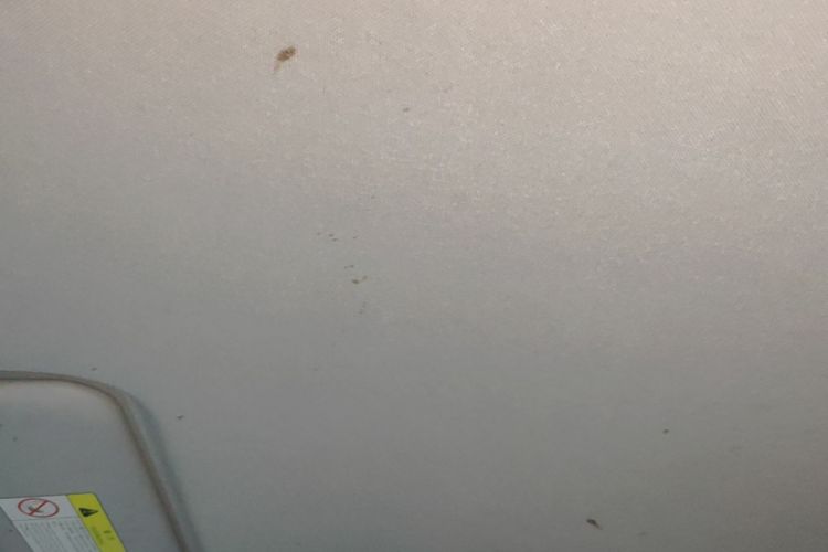 Used CHANGAN NEVO Lumin 2022 210km Sweet Edition Headliner