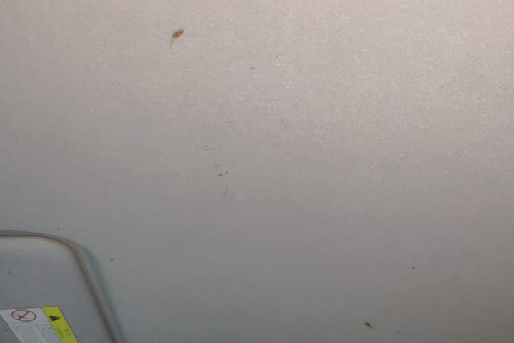 Used CHANGAN NEVO Lumin 2022 210km Sweet Edition Headliner