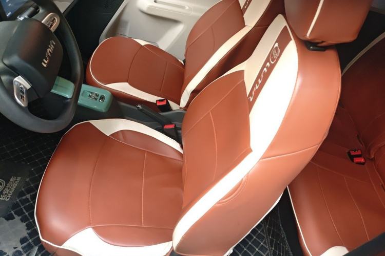 Used CHANGAN NEVO Lumin 2022 210km Sweet Edition Left Front Seat