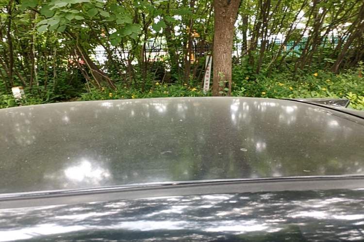 Used CHANGAN NEVO Lumin 2022 155 km – Refreshingly Sweet Edition Roof