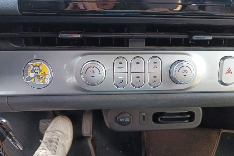 Used CHANGAN NEVO Lumin 2022 210km Sweet Edition Audio And AC Panel