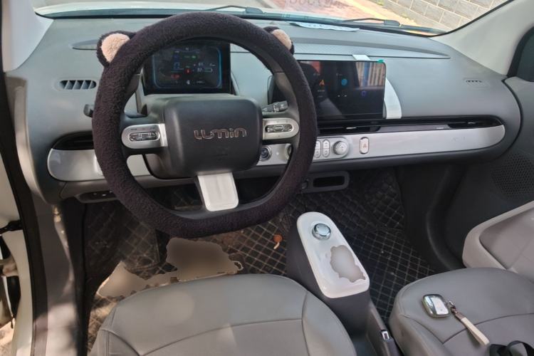 Used CHANGAN NEVO Lumin 2022 210km Sweet Edition Center Console