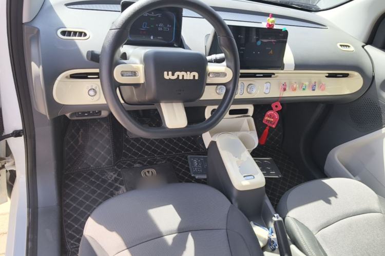 Used CHANGAN NEVO Lumin 2022 210km Sweet Edition Center Console
