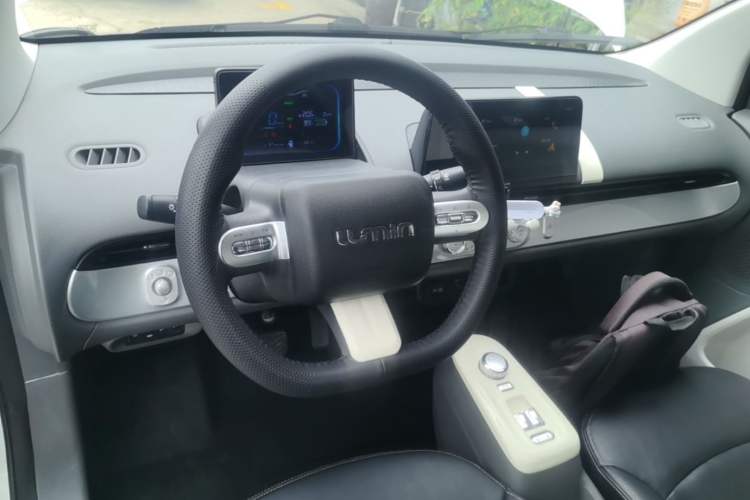 Used CHANGAN NEVO Lumin 2022 210km Sweet Edition Center Console