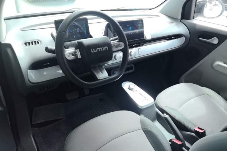 Used CHANGAN NEVO Lumin 2022 210km Sweet Edition Center Console