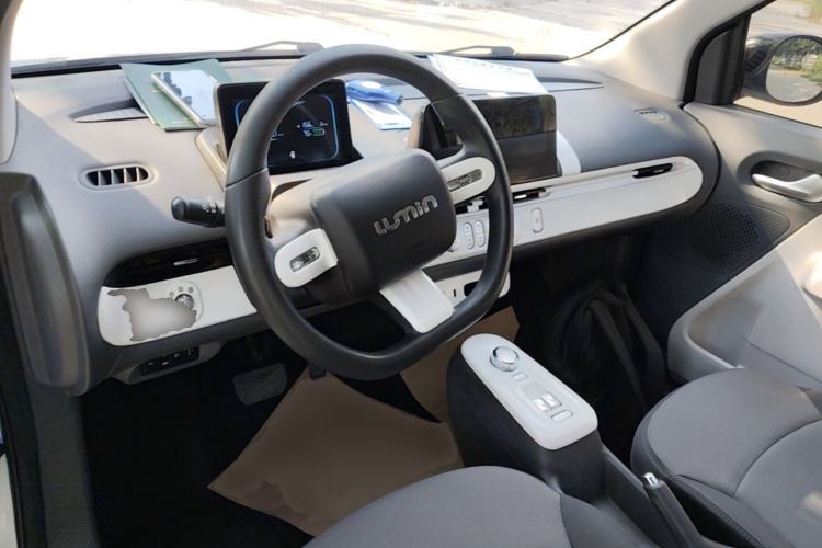 Used CHANGAN NEVO Lumin 2022 210km Sweet Edition Center Console
