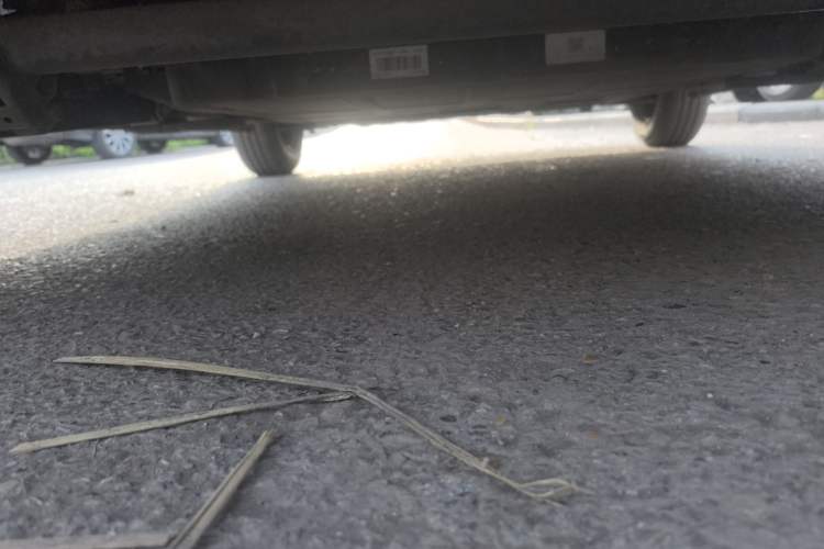 Used CHANGAN NEVO Lumin 2022 155 km – Refreshingly Sweet Edition Chassis Rear