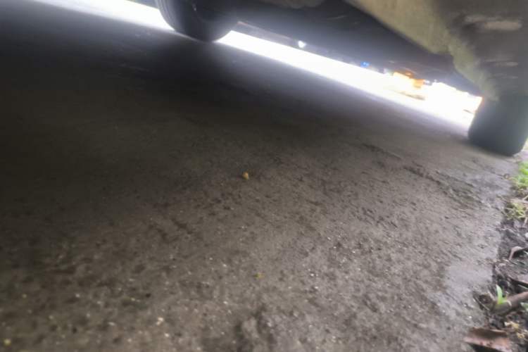 Used CHANGAN NEVO Lumin 2022 301km Honey-Sweet Version Chassis Rear Right