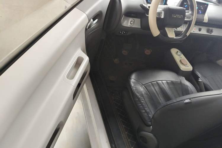 Used CHANGAN NEVO Lumin 2022 301km Honey-Sweet Version Driver Seat