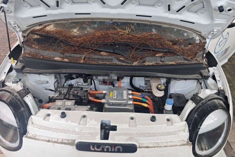 Used CHANGAN NEVO Lumin 2022 210km Sweet Edition Engine Bay