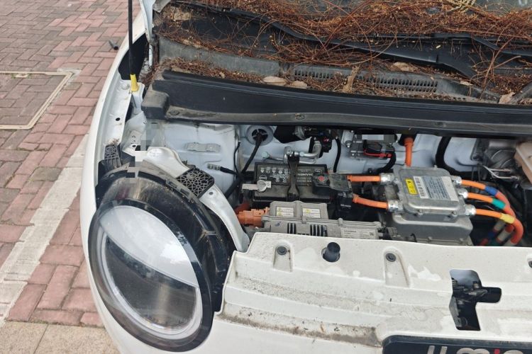 Used CHANGAN NEVO Lumin 2022 210km Sweet Edition Engine Bay Right