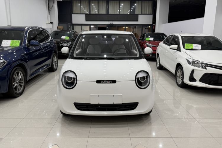 Used CHANGAN NEVO Lumin 2022 301km Honey-Sweet Version Exterior 1
