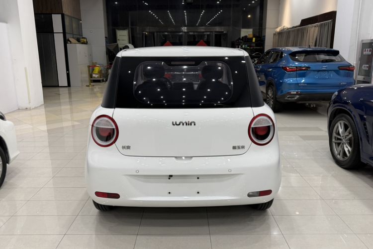 Used CHANGAN NEVO Lumin 2022 301km Honey-Sweet Version Exterior 4