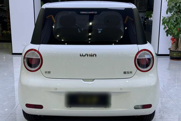 Used CHANGAN NEVO Lumin 2022 210km Sweet Edition Exterior 5