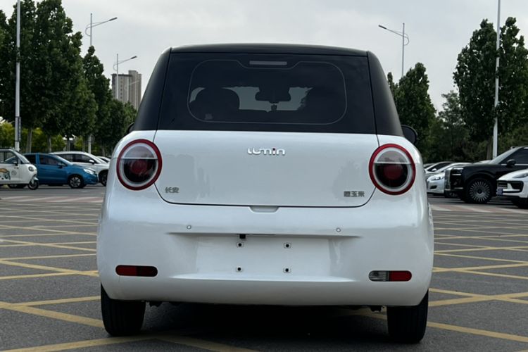 Used CHANGAN NEVO Lumin 2022 210km Sweet Edition Exterior 5